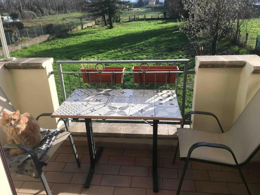 Piccolo Borgo Lägenhet Lucca Exteriör bild